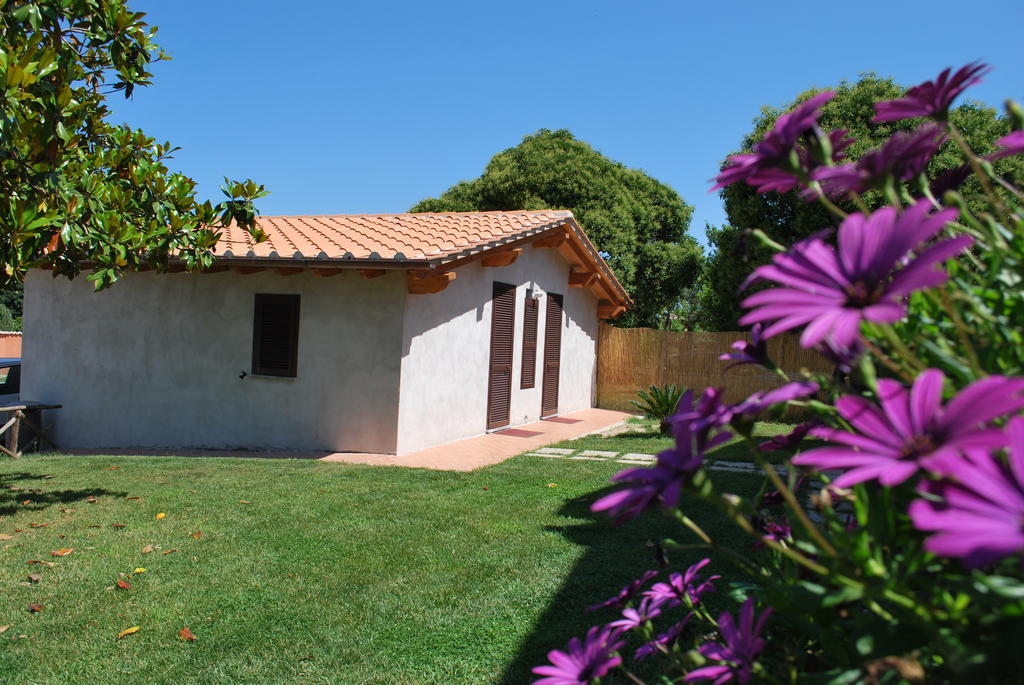 Agriturismo La Valle Di Ceri Cerveteri Eksteriør bilde