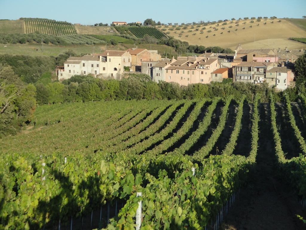 Agriturismo La Valle Di Ceri Cerveteri Eksteriør bilde